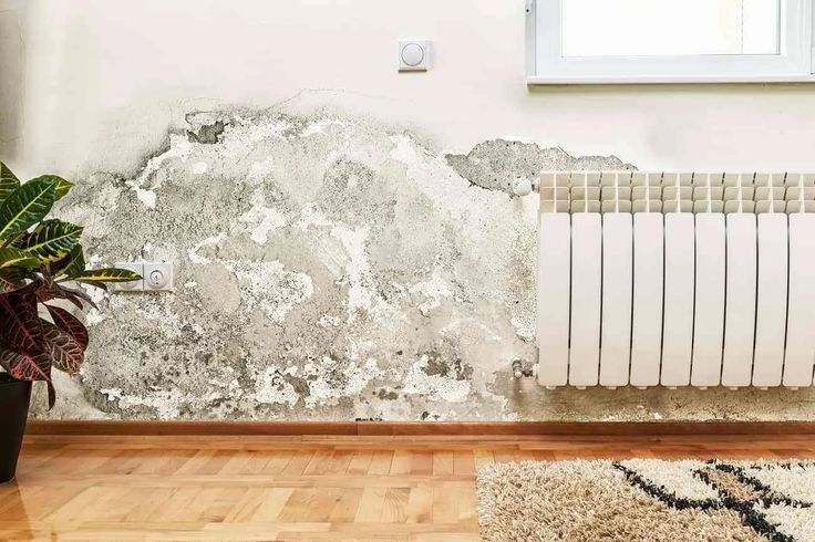 imagen de una pared con humedades por capilaridad